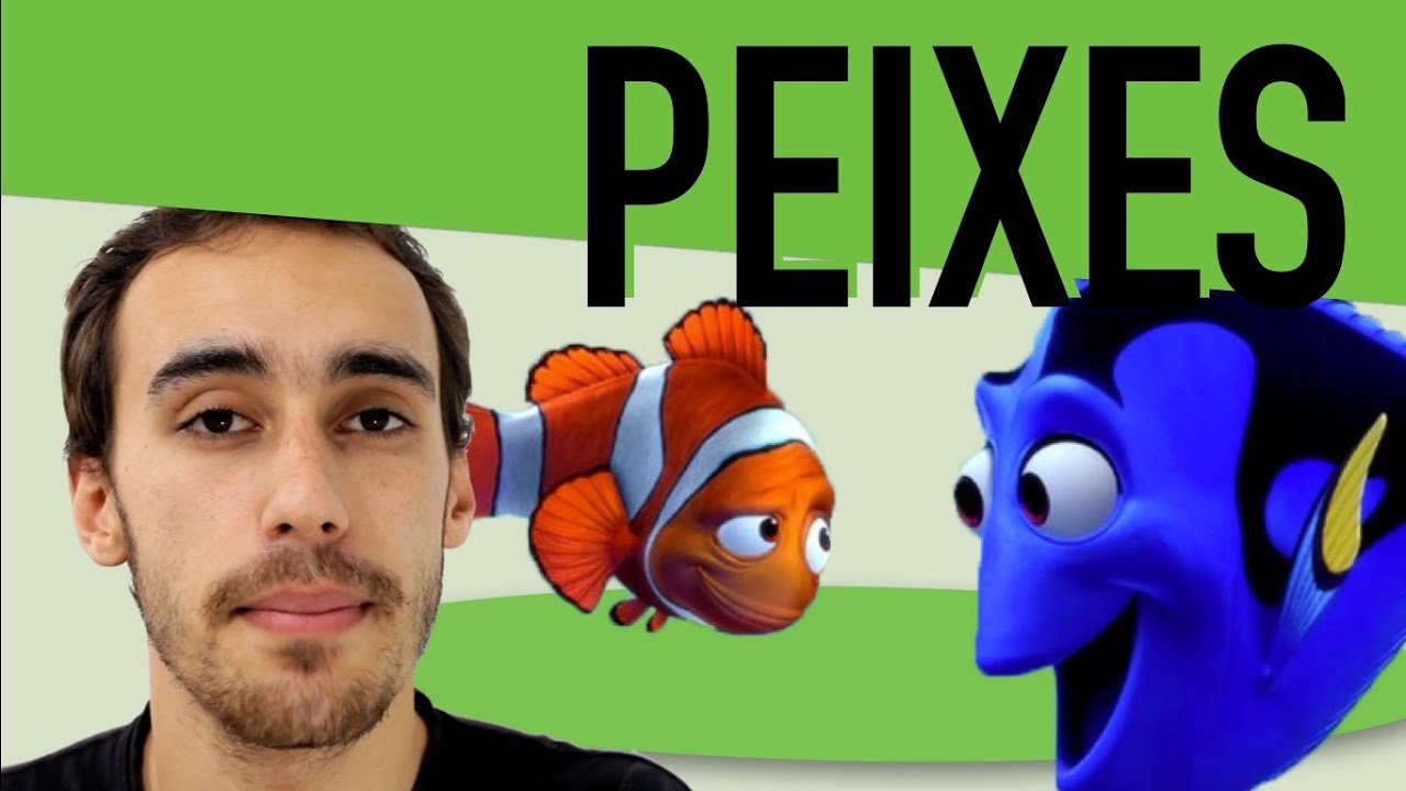 Zoologia - Cordados: Peixes