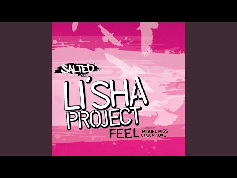 Feel (Miguel Migs Salted Petalpusher Vocal)