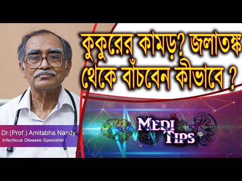 Dog bite treatment: First Aid and Infection Prevention || Dr.(Prof.)Amitabha Nandy || Virologist