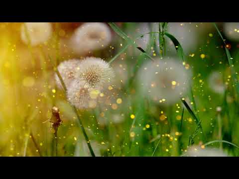 Raag Jog - Sanjeev Abhiyankar