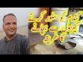 Gandum ko susri se bachne ka tarika | How to control susri (lesser grain borer | anwar shafiq vlog