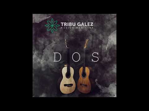 TRIBU GALEZ - Vida es Vida
