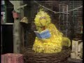 Classic Sesame Street Big Bird S Poem Pigs 1972