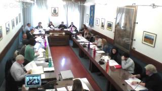 preview picture of video 'Consiglio Comunale di Collesalvetti del 31.03.2015 2a parte'