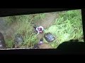 Addaar Love New Climax