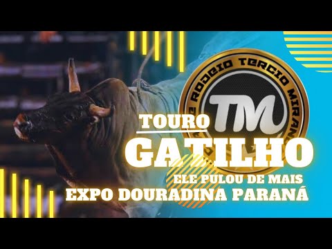 DISPUTA FINAL EXPO DOURADINA PARANÁ PRIMEIRO EVENTO DO ANO DA CIA TÉRCIO MIRANDA VEJA 