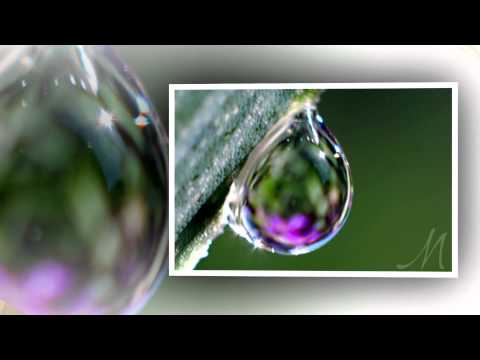 Mưa tím - Đoan Trang