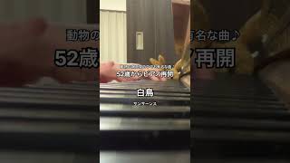 Download lagu #ピアノ #サンサーンスの白鳥 #52歳からピアノ再開 #piano #弾いてみた mp3 Download lagu #ピアノ #サンサーンスの白鳥 #52歳からピアノ再開 #piano #弾いてみた mp3