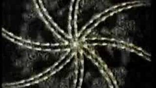 Hanzel und Gretyl - Take Me To Your Leader