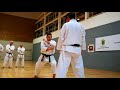Bunkai Tekki Sandan Kobayashi Kunio Sensei