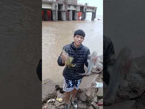 pesca de hoy en fray luis beltran saque 10 yo 1 mi papa 2 mi abuelo y 1 mi tio