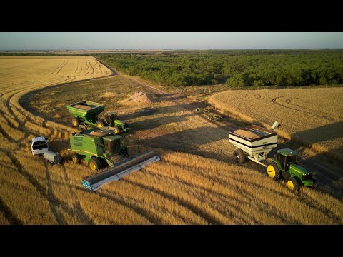 2020 West Texas Wheat Harvest