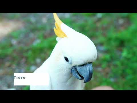 Campingpark Bielefeld