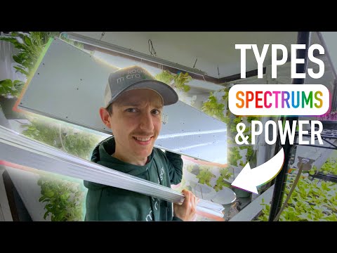 Indoor Grow Lights Explained SIMPLY and Which To Buy