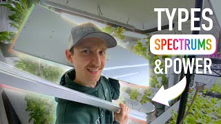 Indoor Grow Lights Explained SIMPLY and Which To Buy