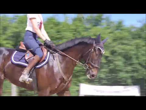 Holiday de Baune sur le plat à l'Ecurie Seconde Chance