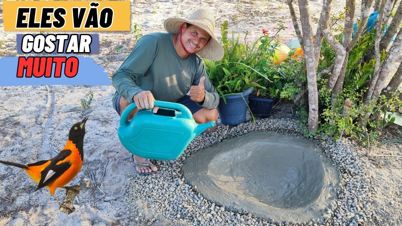 Fiz um bebedouro para os pássaros no meu sítio, a ESTIAGEM TA CASTIGANDO