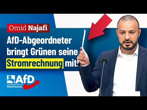 Dachte, Sonne und Wind schicken keine Rechnung...? – Omid Najafi (AfD)