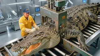 The Shocking Process Inside a Slaughterhouse | From Crocodile to Luxury Handbags
