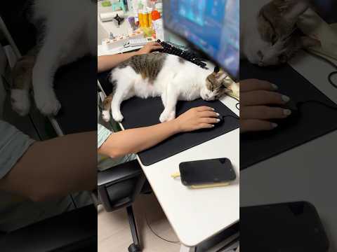 이번 명절에도 창피해 죽는줄..