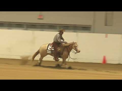 2023 Quarter Horse Congress Open Futurity Finals Brian Bell on Crystralized Whizkey