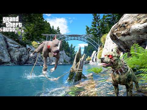 TERMİNATÖR'ÜN BİLE KORKTUĞU PİTBULL GELDİ! CİNNET'İN ABİSİ DEHŞET!  - GTA 5