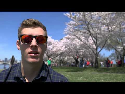 Cherry Blossom Festival and short GoPro Review!! - Friday Ep. 12