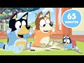 AO VIVO Aventuras Da Bluey Com Amigos E Familiares 65 MINUTOS Bluey