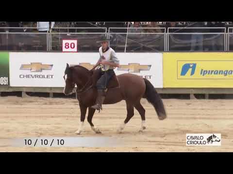 Lote C1 SANTA ALICE NUBLADO II