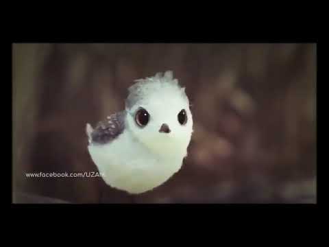 yt5s com UZAIR Best Animated Short Films 2021   Motivational & Ins