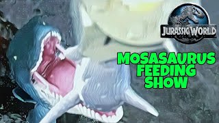 Mosasaurus Feeding Show Jurassic World