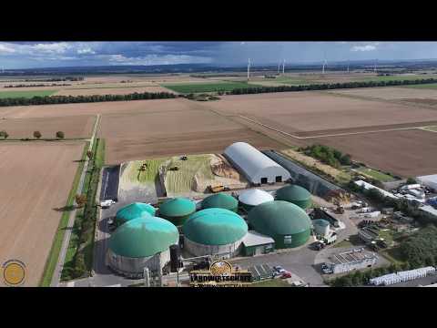 Lohen sich Radlader beim Silo bauen? Der 40.000 Tonnen Auftrag Großeinsatz Mais Silieren Biogas