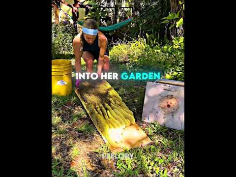 This Woman Found Bees Living Inside Her Shed Floor 😳🐝 #shorts