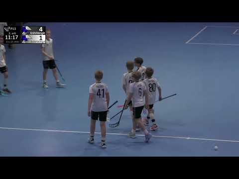 EräViikinkien maalit: 23.3.2024 P13: EräViikingit Blue - EräViikingit Kulta