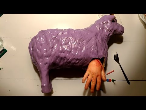 MISSIONE ERASMUS! - DIARIO DI BORDO