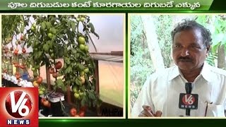 Sagubadi | Polyhouse and Vegetables Cultivation Techniques l Seeding sheds l V6 News