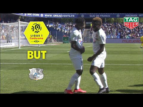 But Steven MENDOZA (66') / Montpellier Hérault SC - Amiens SC (1-1)  (MHSC-ASC)/ 2018-19