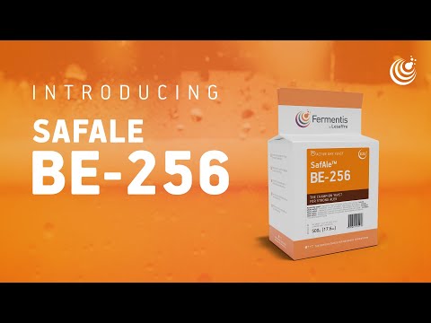 SafAle™ BE-256 - Yeast strain for fruity strong ales - Fermentis