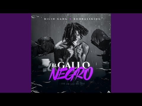 El Gallo Negro