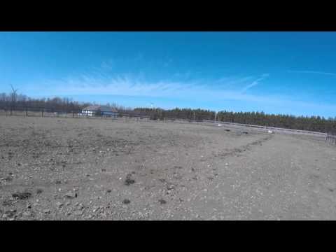 Footing for Training Area for Draft Horse Rescue