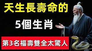 這5個生肖天生長壽命，第3名福壽雙全太驚人！#修行思維 #修行 #福報 #禪 #道德經 #覺醒 #開悟 #禅修