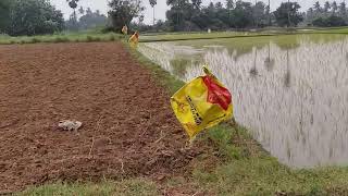  Agricultural Land for Sale in Cheyyar, Kanchipuram