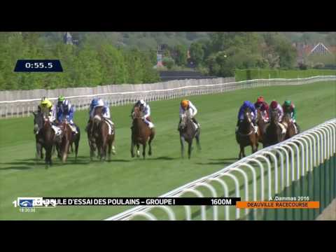 Poule d'Essai des Poulains 2016 G1 - THE GURKHA