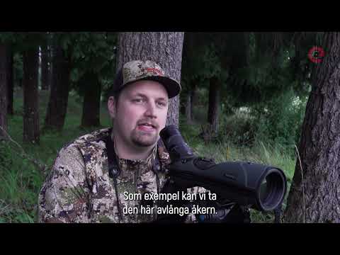 Förberedande rekognosering för jakt på vitsvanshjort