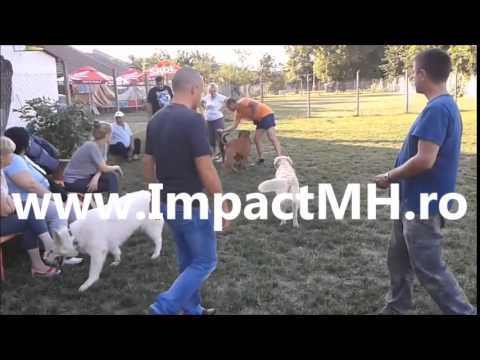 Vreau DOG Park in Drobeta Turnu Severin !