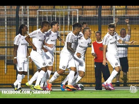 Santos 5-0 Botafogo - Copa do Brasil 2014 (Quartas de final - volta)