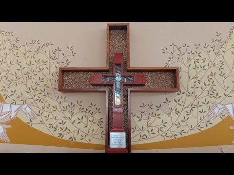 Santa Missa, II Semana do Tempo Comum(21.01.2026)Pe. Oveslando Lima.