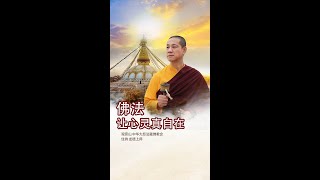 观音山 中华大悲法藏佛教会住持  龙德严净仁波切：佛法让心灵真自在