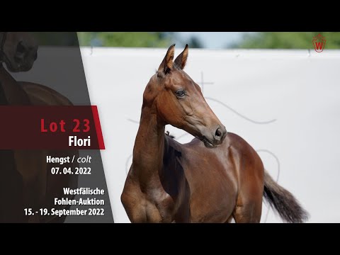Online-Auktion Lot 23 Flori Hengst v. First Deal - Farbenspiel
