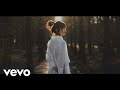 Alan Walker Arvy Nacht Stereo Love Official Music Video